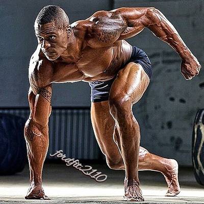 Athlete bio image